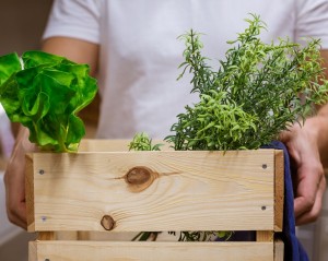 entreprise de fabrication de cagettes en bois SARL : Fabrication d'emballages légers en bois pour fruits et légumes